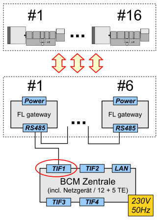 802-000-5300 maxFL.jpg